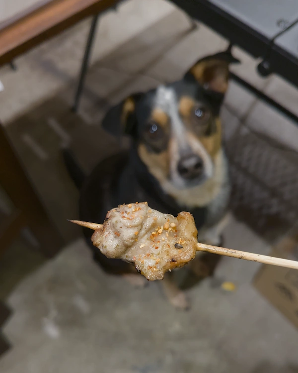 Grilled chicken belly skewer